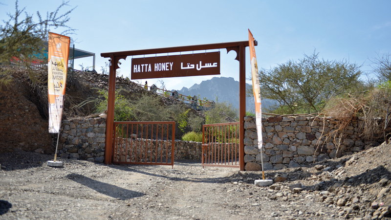 بدأت الحديقة بـ10 خلايا منذ 9 سنوات وازدهرت لتضم الآن أكثر من 3000 خلية على امتداد مساحة الحديقة.

تصوير: يوسف الهرمودي