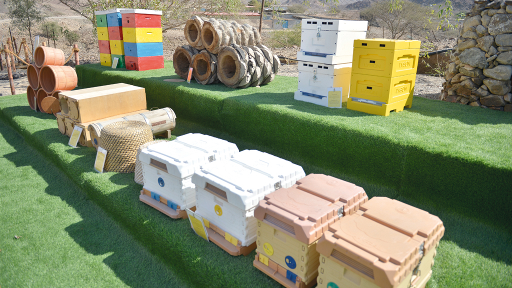 حديقة نحل حتا تمتد على مساحة 16 ألف متر مربع.
تصوير: يوسف الهرمودي