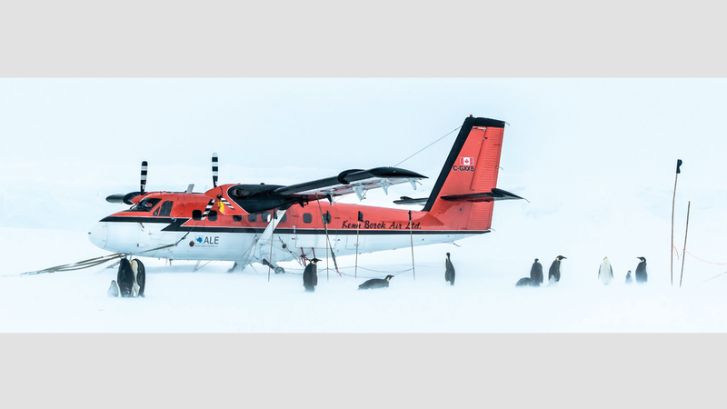 غونتر ريل - ألمانيا