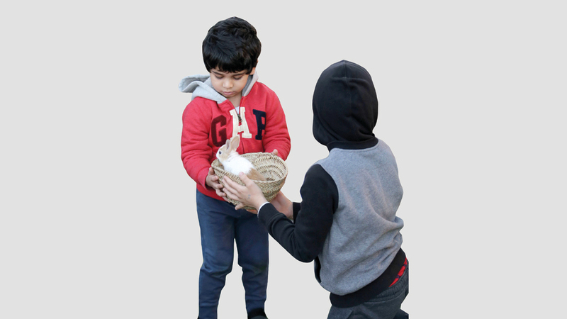 يخصص المهرجان للأطفال حديقة للحيوانات الأليفة. من المصدر