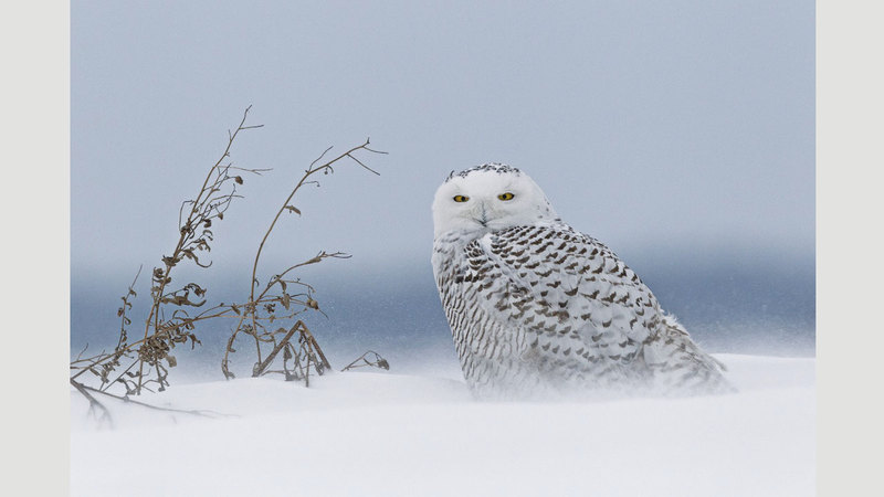 ماتيو لوناتي &ndash; إيطاليا