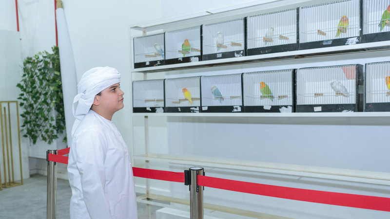 المبادرة تتضمن فعاليات تهدف إلى تعريف المجتمع بطيور الحب وأنواعها. الإمارات اليوم