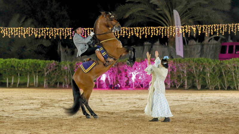 اللقاء شهد فقرات استعراضية للخيول.. شارك فيها فرسان عالميون على صهوات خيول إسطبلات ميثاء بنت محمد بن راشد آل مكتوم. من المصدر