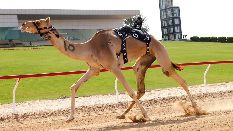 من تتويج الفائزين. من المصدر
