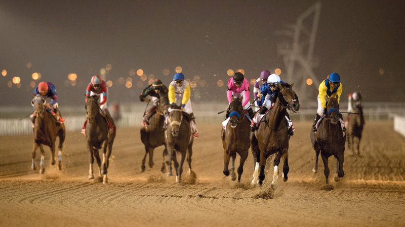 «ثندر سنو» لغودولفين ينافس بقوة على لقب الشوط التاسع. من المصدر