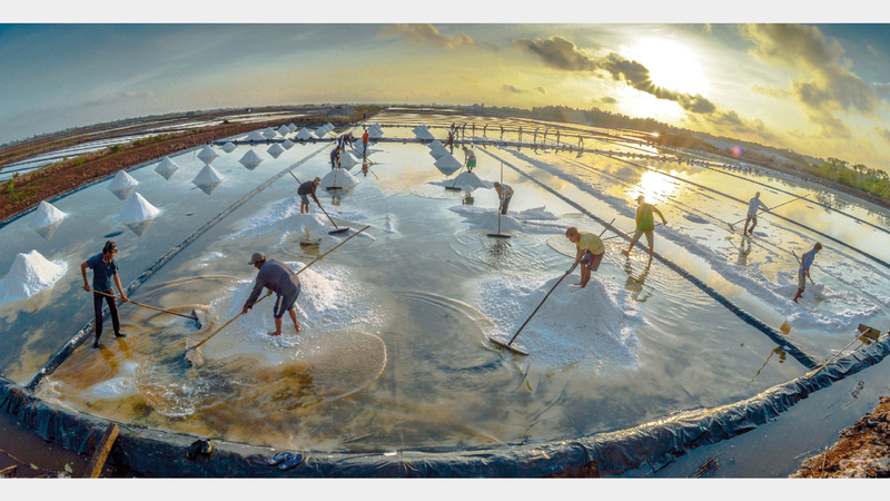 فانثان كوانغ - فيتنام