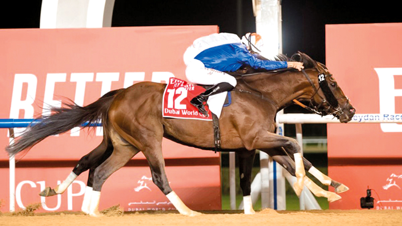 جواد غودولفين «ثندر سنو» توج بلقب كأس دبي العالمي. من المصدر