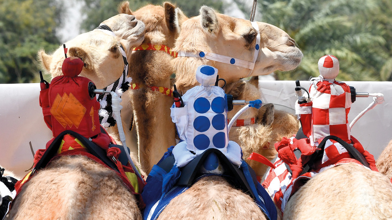 اليوم التاسع لمهرجان ختامي المرموم شهد 34 شوطاً. تصوير: أسامة أبوغانم