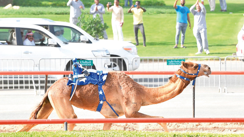 حمدان بن محمد يشهد تتويـــج المسك بسيف الإمارات في ختامي المرموم