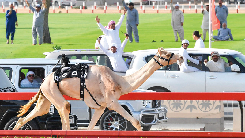 حمدان بن محمد يشهد تتويـــج المسك بسيف الإمارات في ختامي المرموم