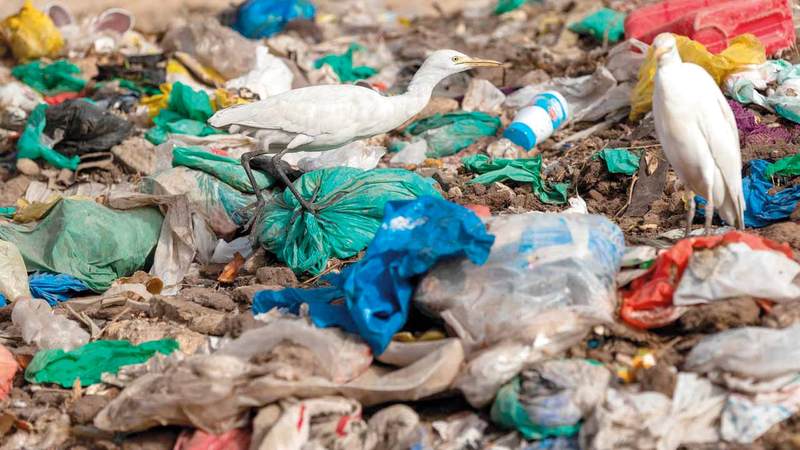 التحقيق كان الأول من نوعه لاستكشاف التأثير الاجتماعي والاقتصادي للبلاستيك في البحر. أ.ب