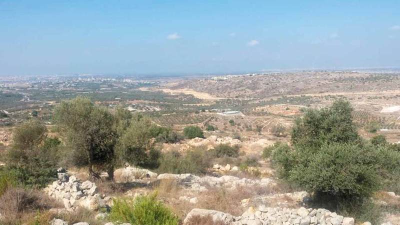 مشروع خط المياه الجديد يدمر الدونمات الزراعية في قلقيلية. الإمارات اليوم