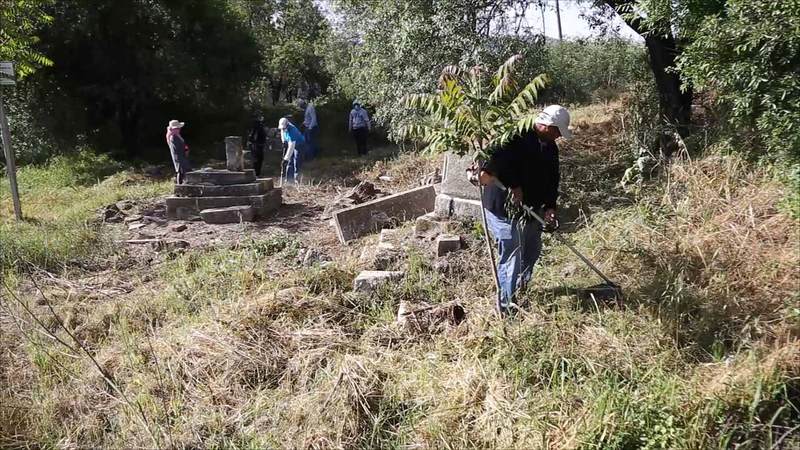 فلسطينيون يزورون أرضهم المهجرة ويرعون أشجارها المعمرة. الإمارات اليوم