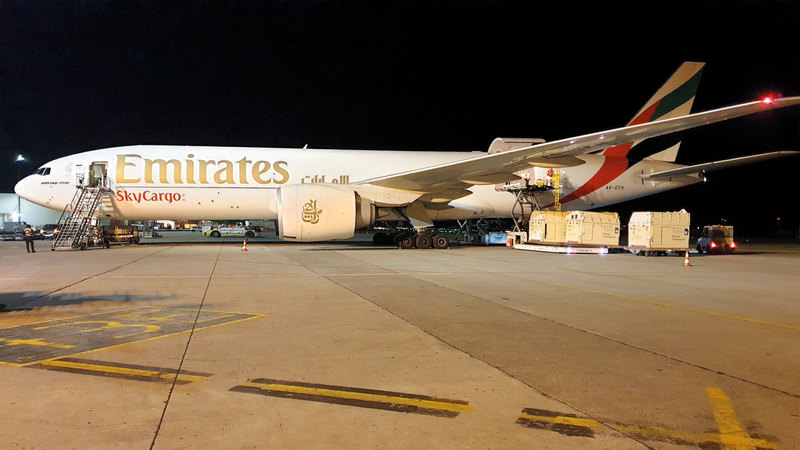 نقلت الإمارات للشحن الجوي 91 خيلاً، وجرى نقل الخيل من بلجيكا على طائرتي شحن طراز «بوينغ 777» تم تخصيصهما لهذه المهمة. من المصدر