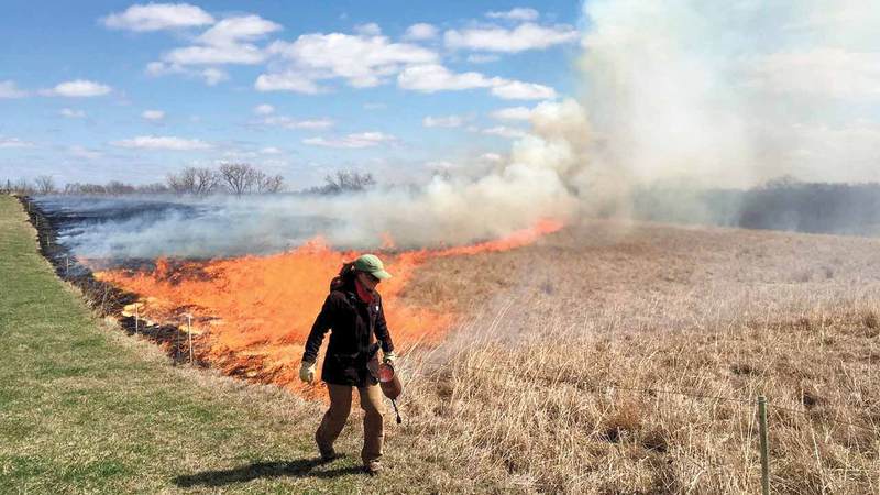 حرق النفايات الزراعية يسبب انبعاثات ملوثة.  أرشيفية