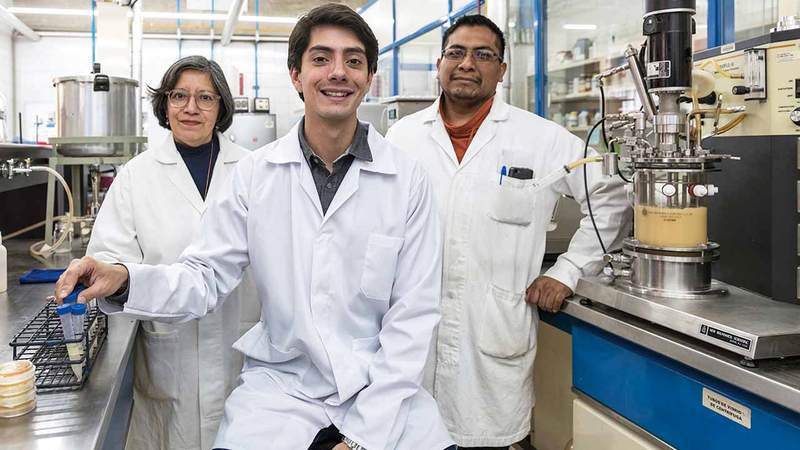 خافيير لاراجويتي في مختبره يعمل على تطوير بديل للسكر.  أرشيفية