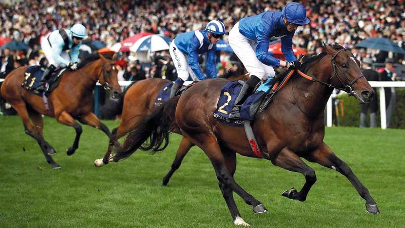 «بلو بوينت» حقق ثنائية في مهرجان رويال أسكوت. من المصدر