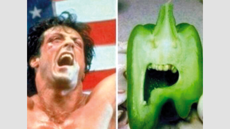 سيلفستر ستالون.