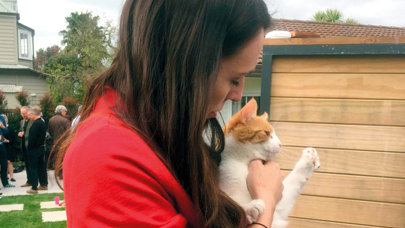 جاسيندا أرديرن تدلل قطتها.  غيتي