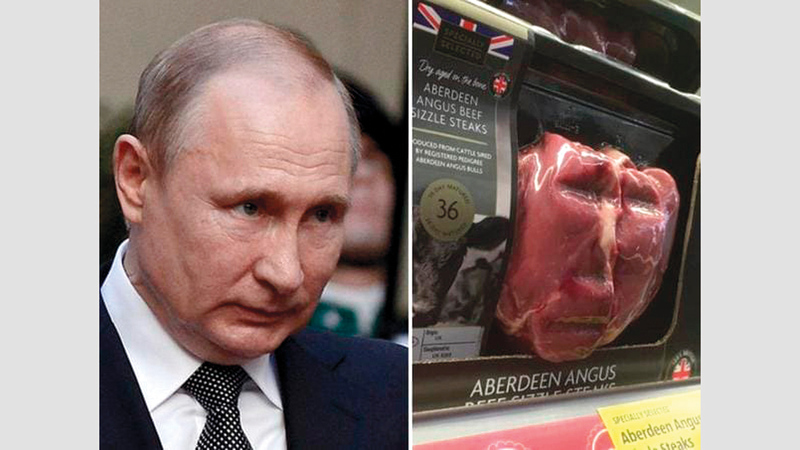 بوتين وقطعة اللحم.