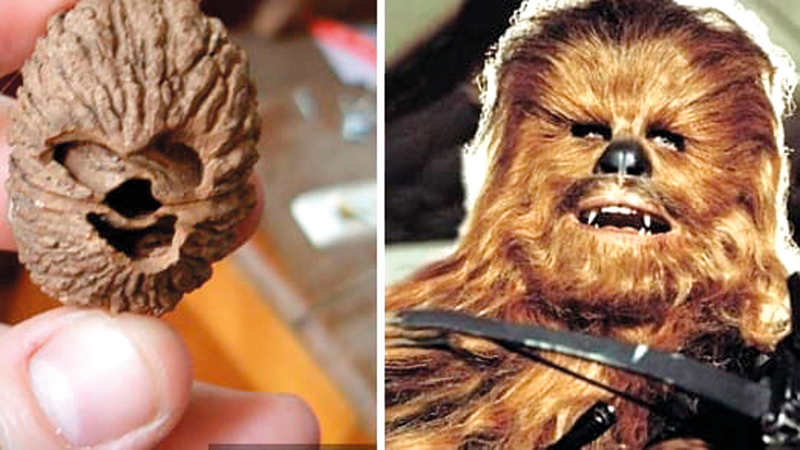 بطل حرب النجوم.