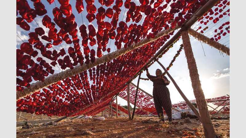 ميناء أرطغرل - تركيا