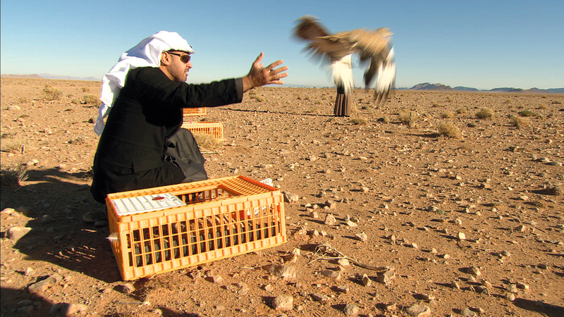 نجحت رؤية محمد بن زايد في ترسيخ عرى «الصندوق الدولي للحفاظ على الحبارى»، الذي تأسس عام 2006  لقيادة برامج الحفاظ على طائر الحبارى، وحمايته في بيئته الطبيعية.  من المصدر