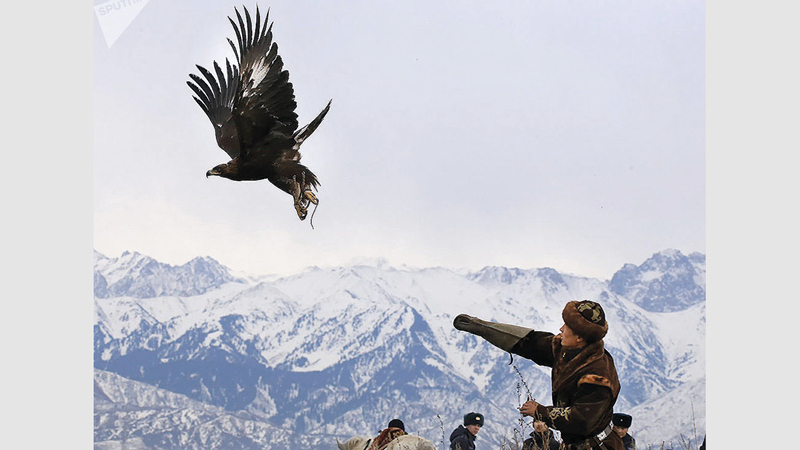الصيد بالصقور تراث عريق في كازاخستان. من المصدر