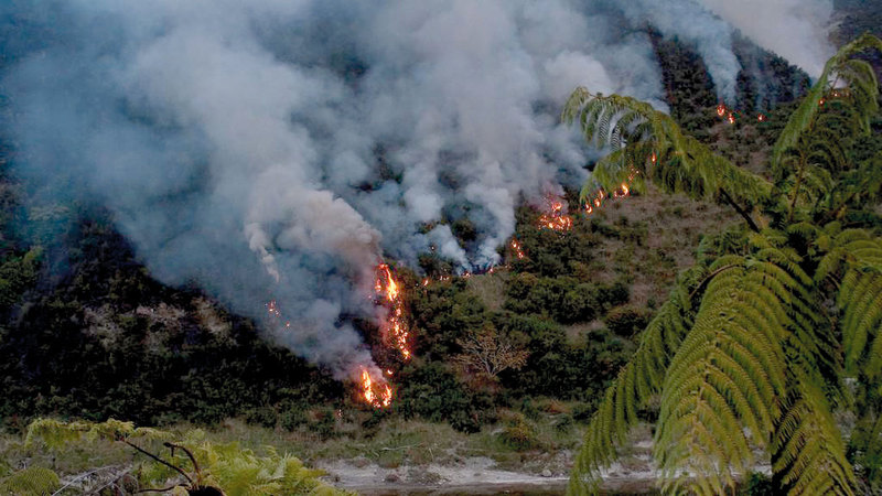 غابات الأمازون المطيرة، أحد أهم حوائط الصد بالعالم أمام تغير المناخ. ارشيفية