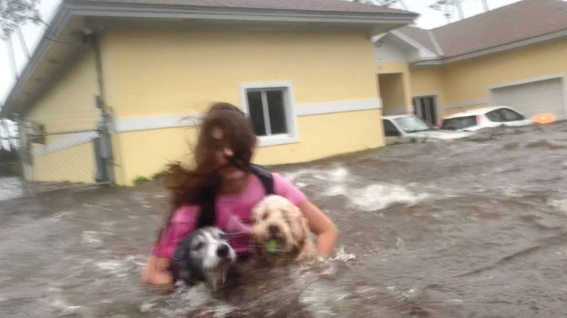 ناجية تصطحب كلبيها خلال إنقاذها. أ.ب