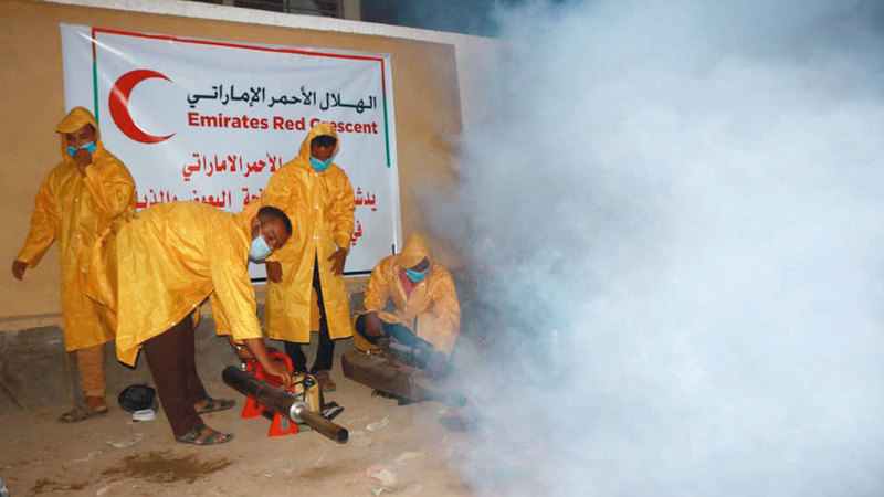 تم وضع خطة مجدولة للحملة تنفذها فرق متخصصة على مدى 12 يوما تشمل مدينة المخاء. وام