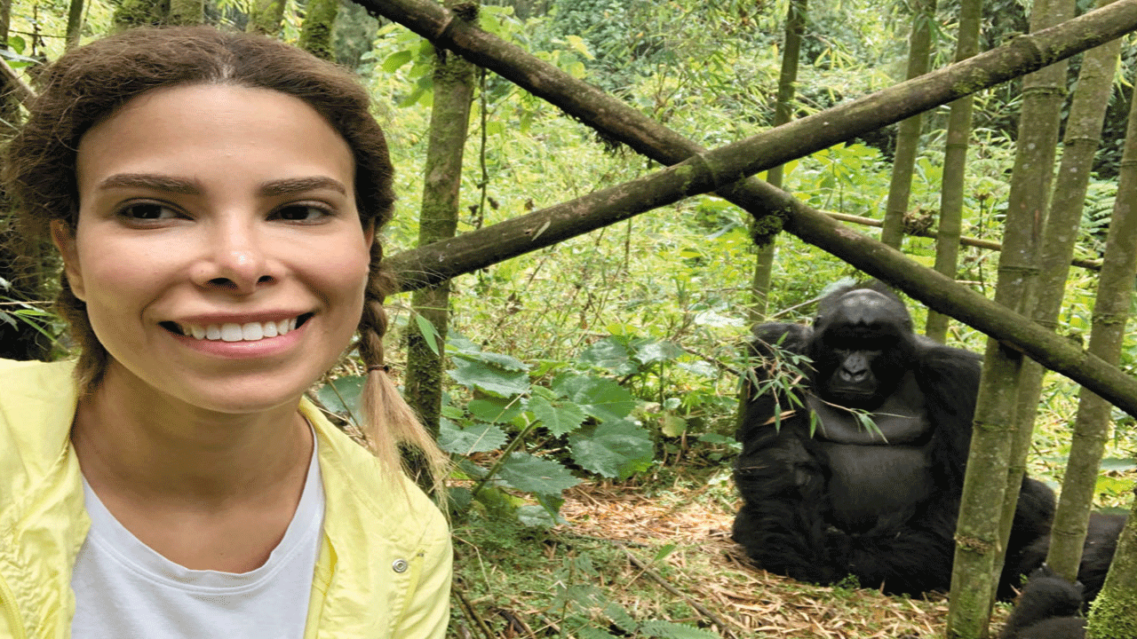 حديقة فولكانوز الوطنية