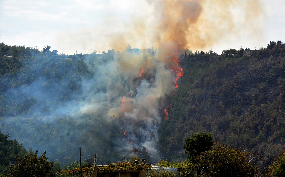 الحرائق الطبيعية في سورية - أ. ف. ب