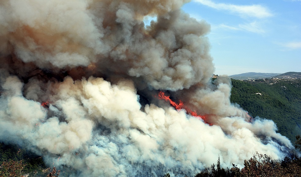 الحرائق الطبيعية في سورية - أ. ف. ب
