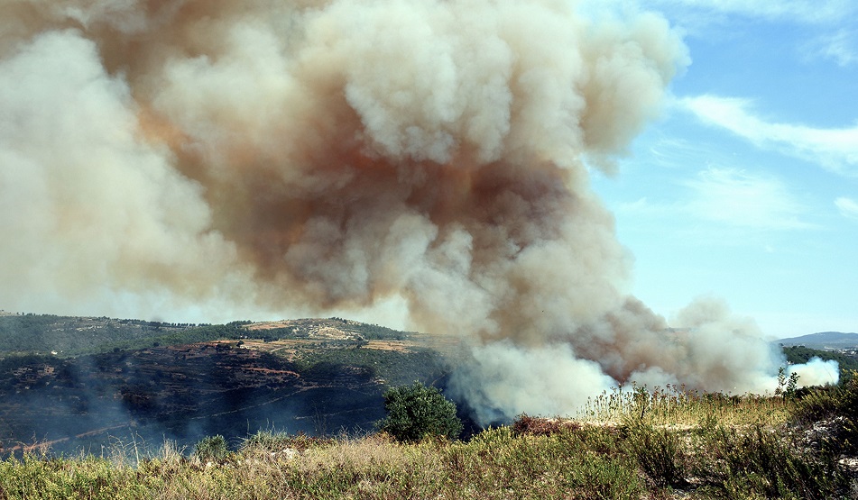 الحرائق الطبيعية في سورية - أ. ف. ب