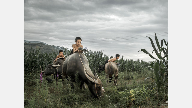 يانشن دينغ - الصين