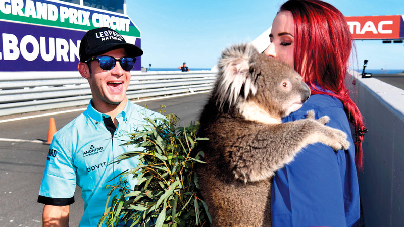 حيوان الكوالا مألوف لدى الجمهور. أ.ف.ب