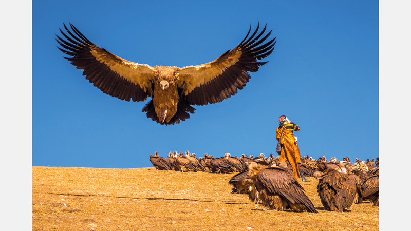 شينغ دونغ لو - الصين