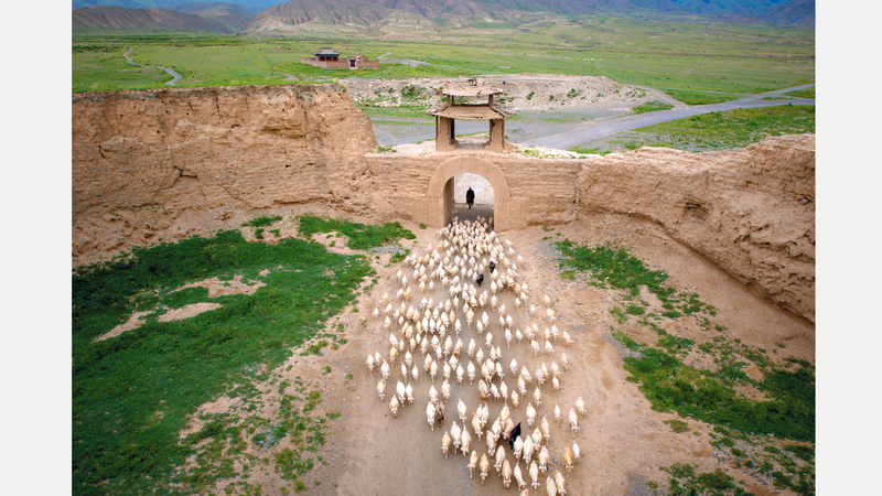 جيكان شي – الصين