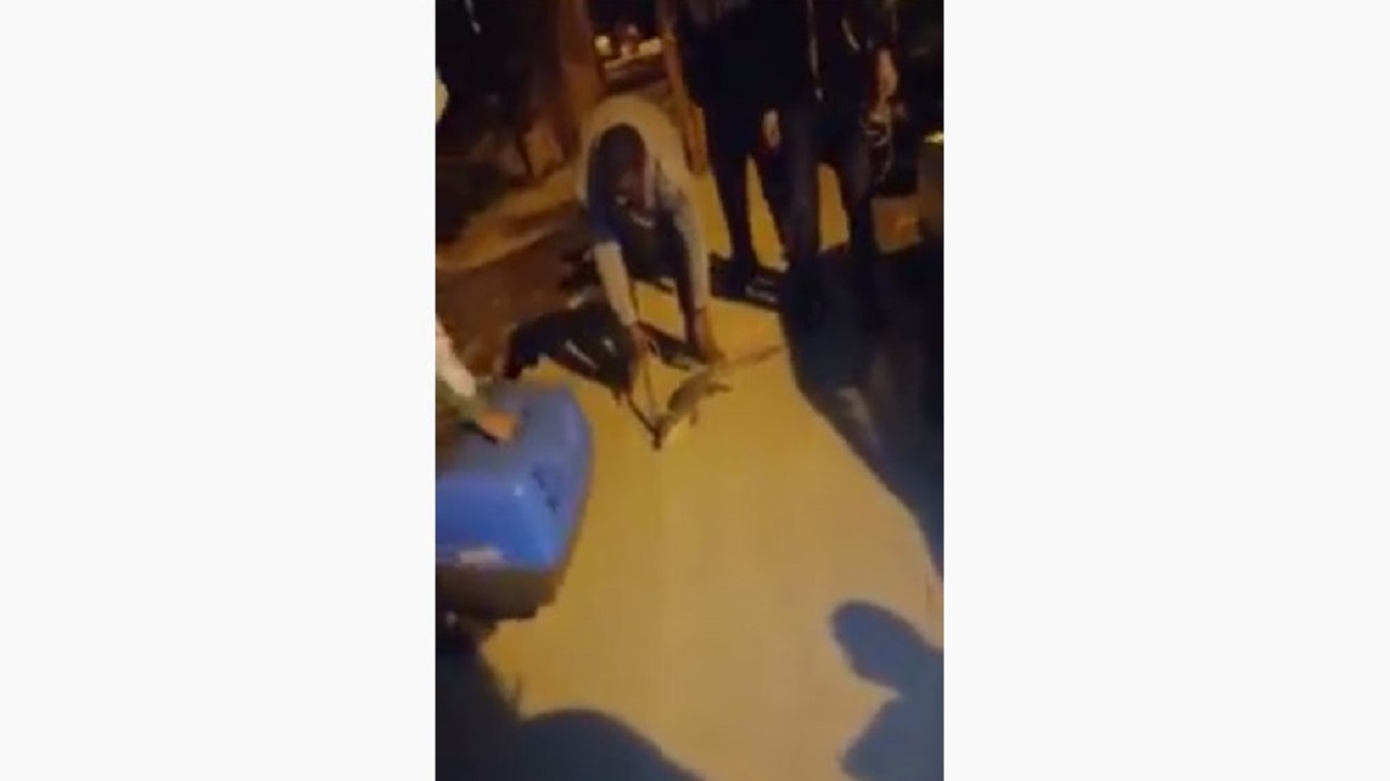 لحظة الإمساك بالتمساح