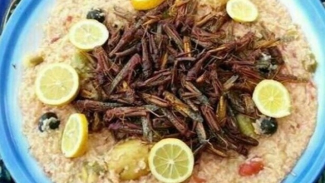 Image result for somali and locusts