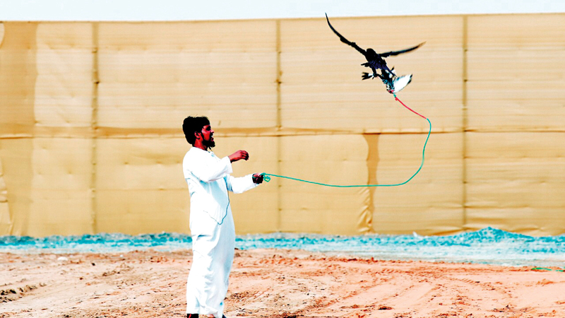مشاركة واسعة وعروض مميزة للصقارين في اليوم الثاني.

من المصدر