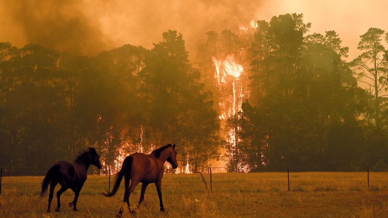 النيران تواصل الزحف في شمال وجنوب وغرب سيدني. إي.بي.إيه