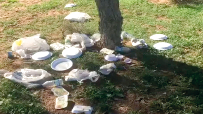 إلقاء مخلفات في المناطق الطبيعية برأس الخيمة. من المصدر