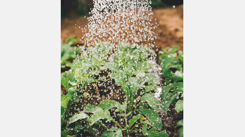 منتجات عضوية.