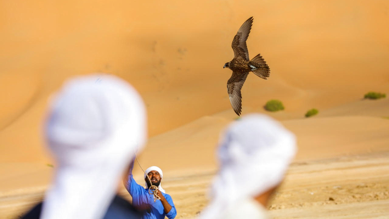بطولة الصقور تميّزت بحماس كبير من المشاركين. من المصدر