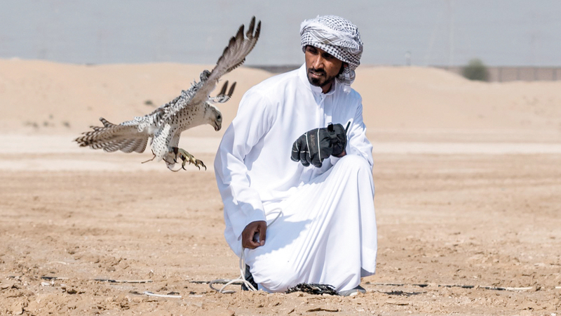 البطولة التي ينظمها مركز حمدان بن محمد لإحياء التراث تحظى بإقبال لافت. من المصدر