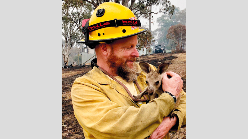 أعداد كبيرة من الحيوانات النادرة نفقت في الكارثة. أ.ب