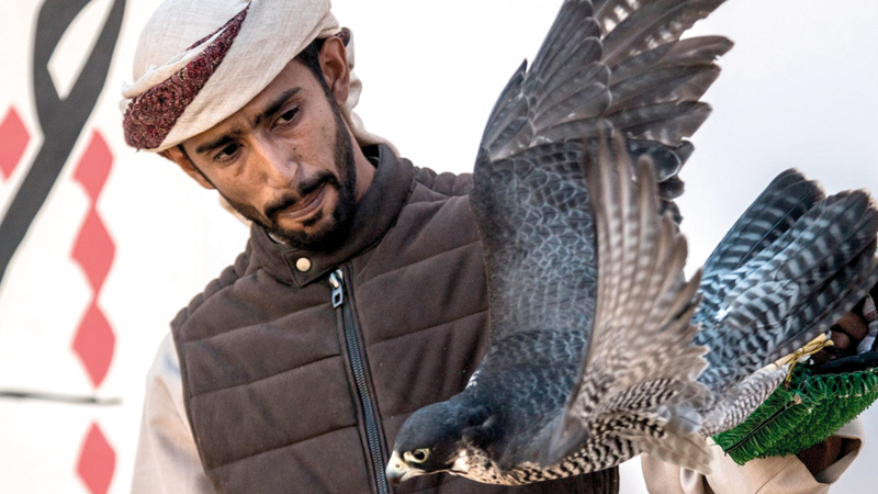 أرقام قياسية حققتها الدورة الجديدة. ■من المصدر