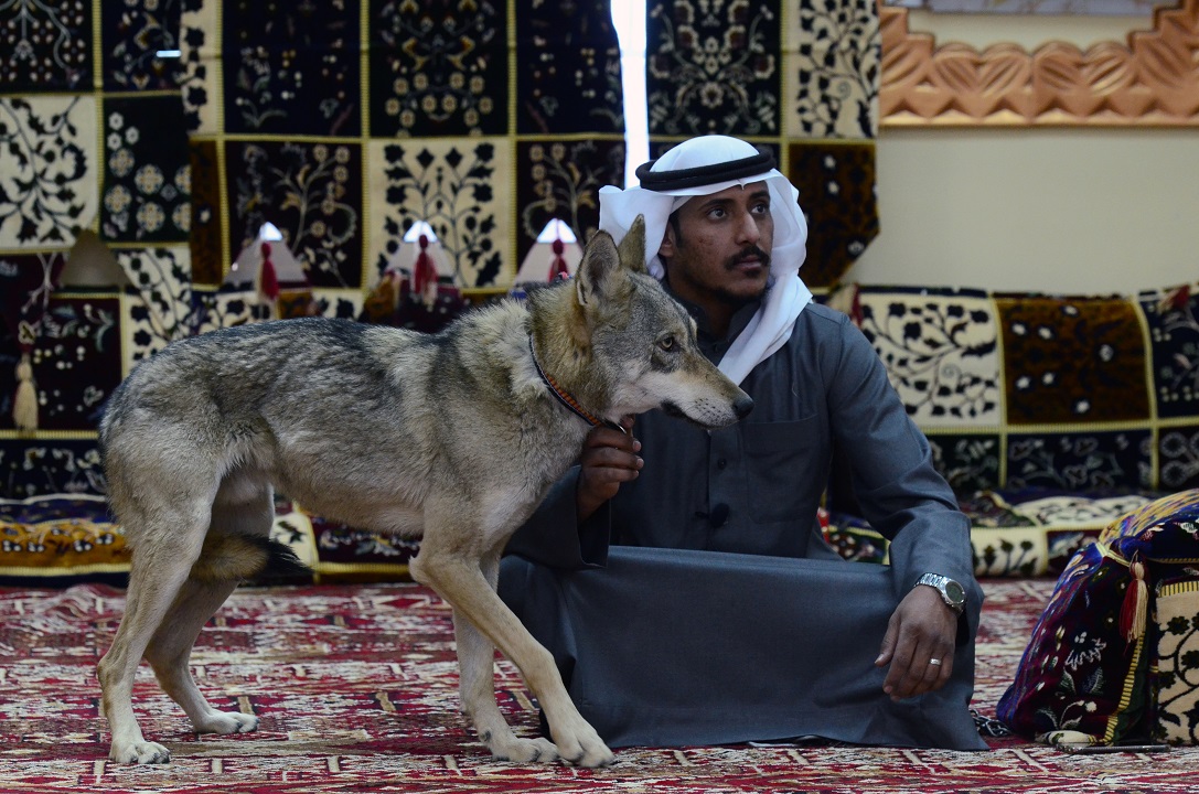 رامي السرحاني.
رويترز